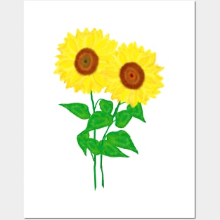 Sunflower Duo (White Background) Posters and Art